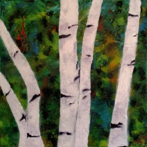 Birch Trees’ Glory